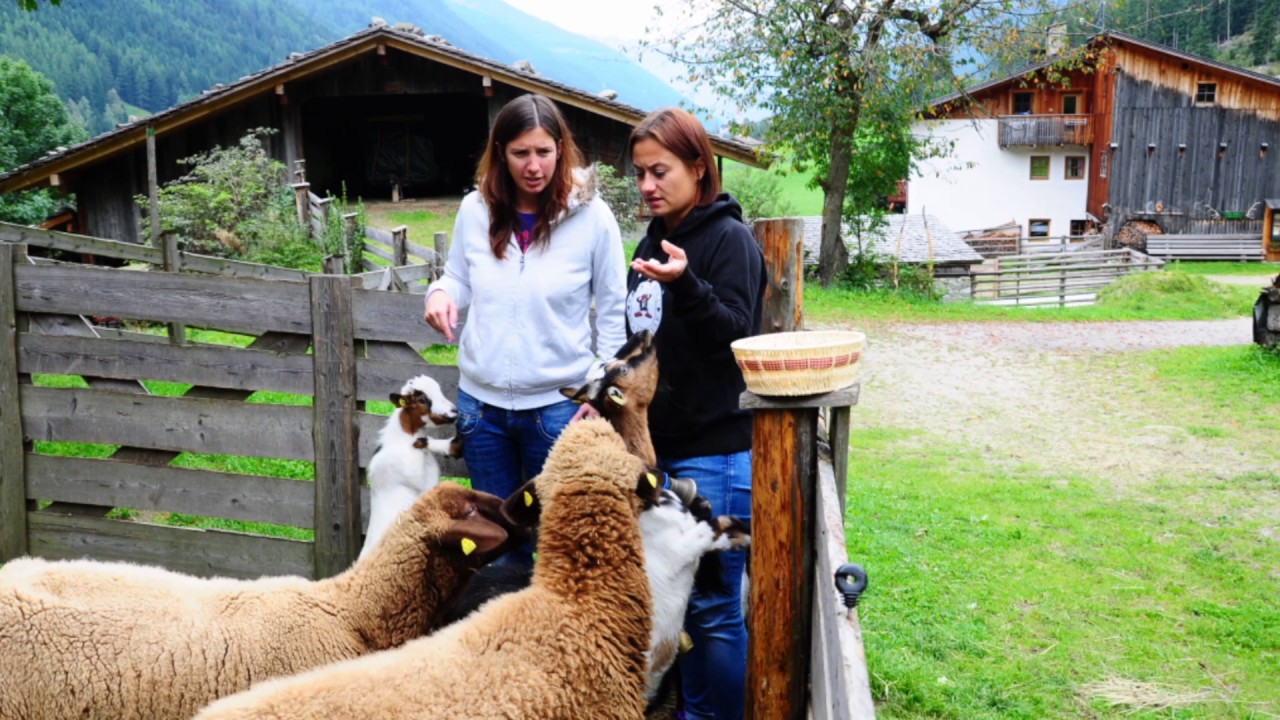 Reiten und Halbtagestour mit Nadi, Robby & Dasty