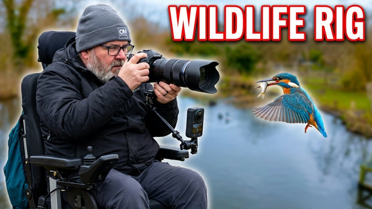 I Built an Accessible Wildlife System | Osmo 360 + OM-1 Kingfisher Hunt