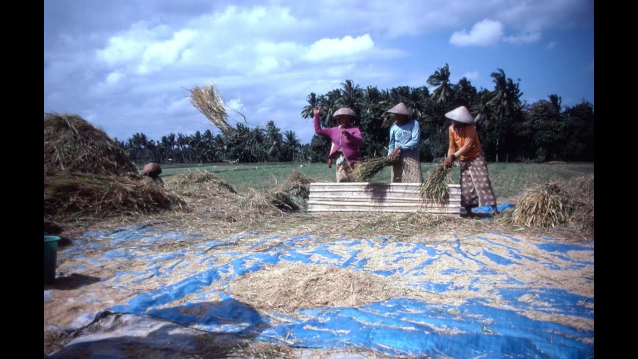 Sights & Sounds of Bali 1980 * Filmed by Ross Myers