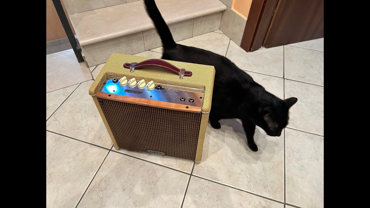 Fine tweed vintage guitar 30W amplifier 
