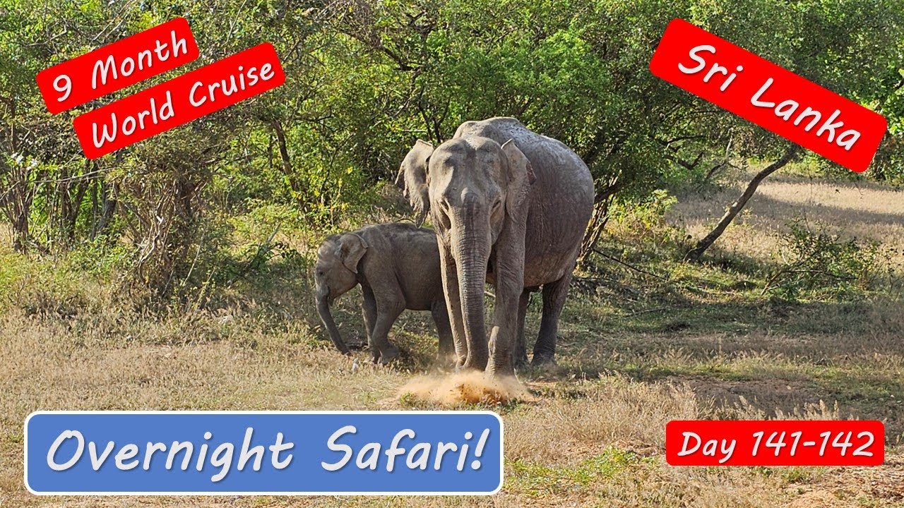 Sri Lanka Safari Adventure - Amazing wildlife in the Yala National Park!