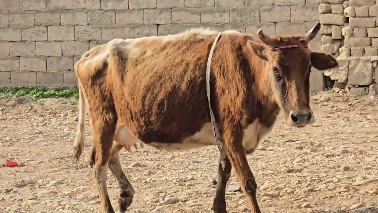 Стоп ⛔️ стоп ⛔️. 