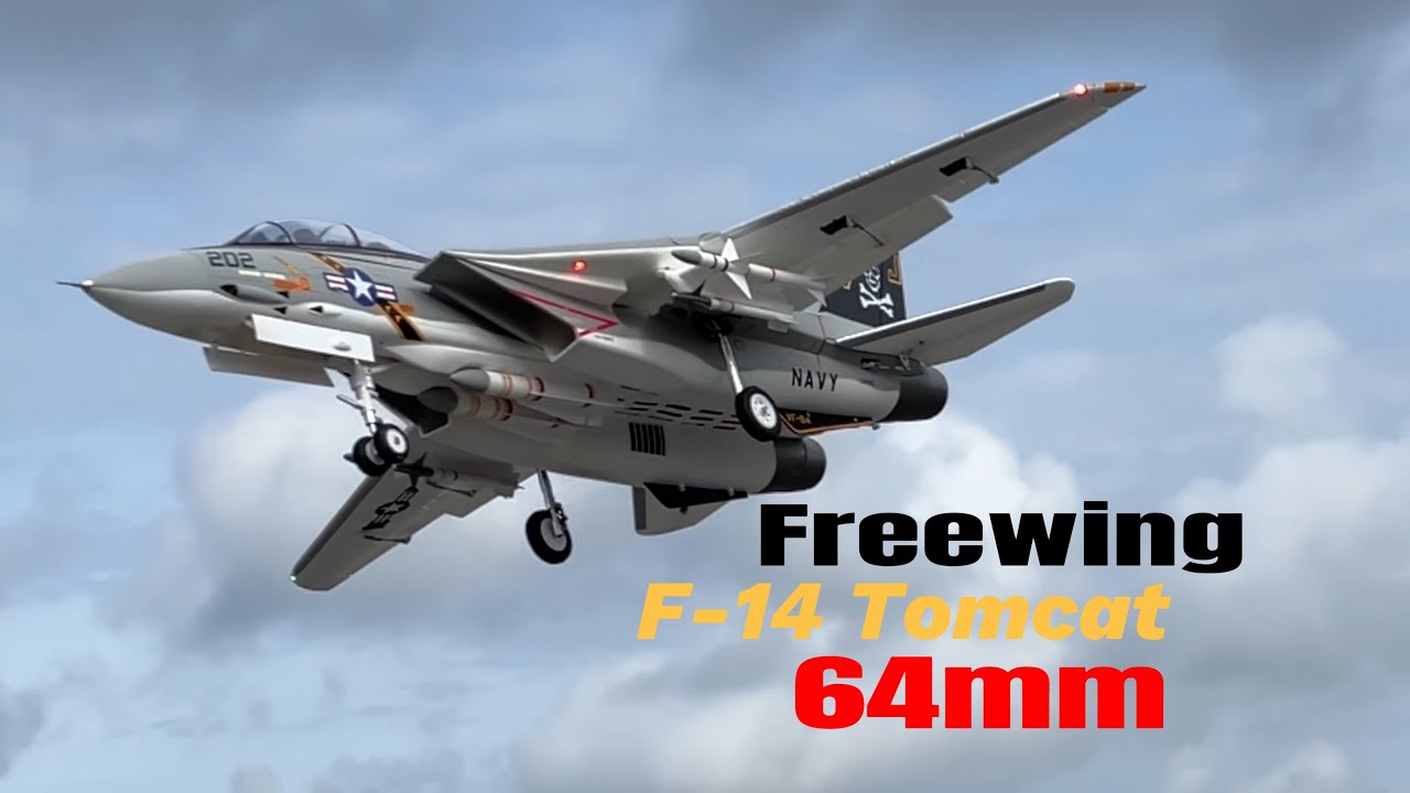Which one fly better? Freewing F-14 Tomcat Twin 64mm or the Twin 80mm ??