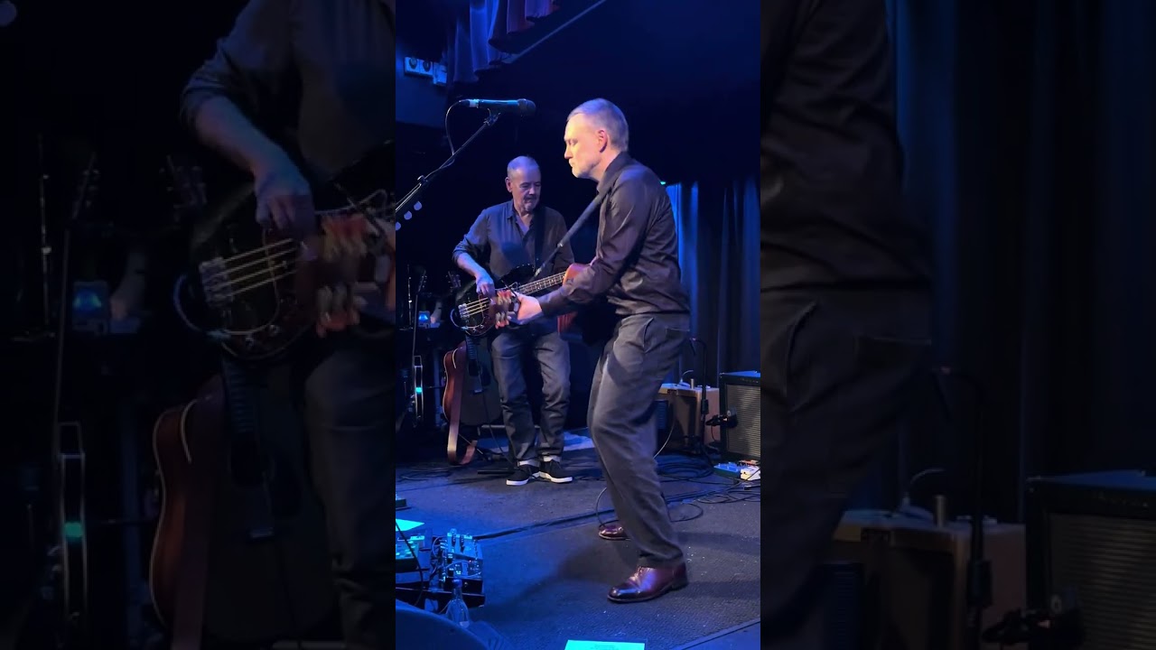 David Gray - New Horizons (live)