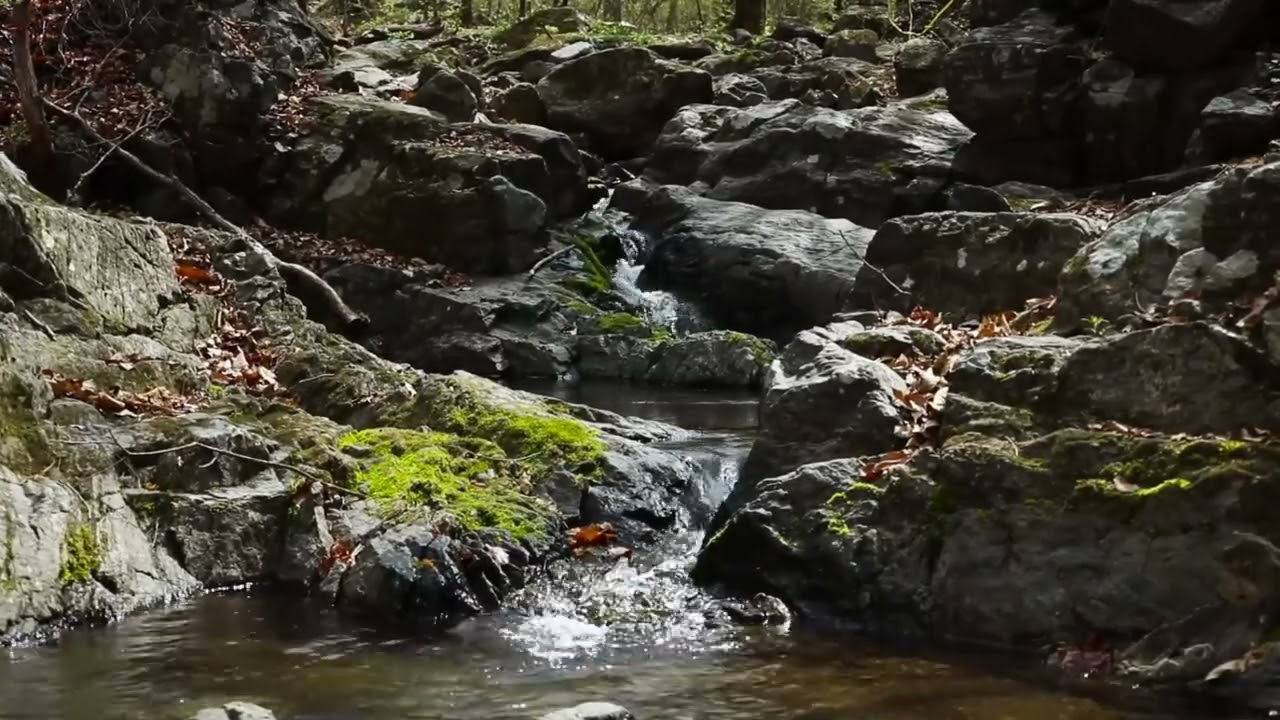 10 Hours of Gentle River Sounds – Relaxing Nature ASMR for Deep Sleep
