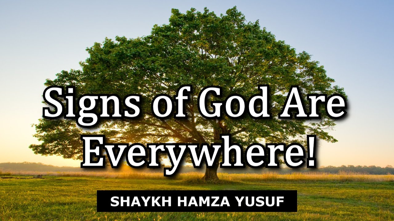 Signs of God Are Everywhere! - Shaykh Hamza Yusuf | Amazing