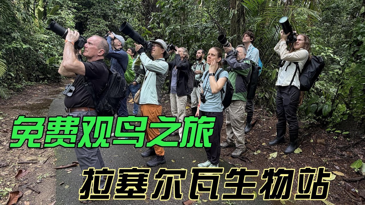 拉塞尔瓦生物站观鸟之旅