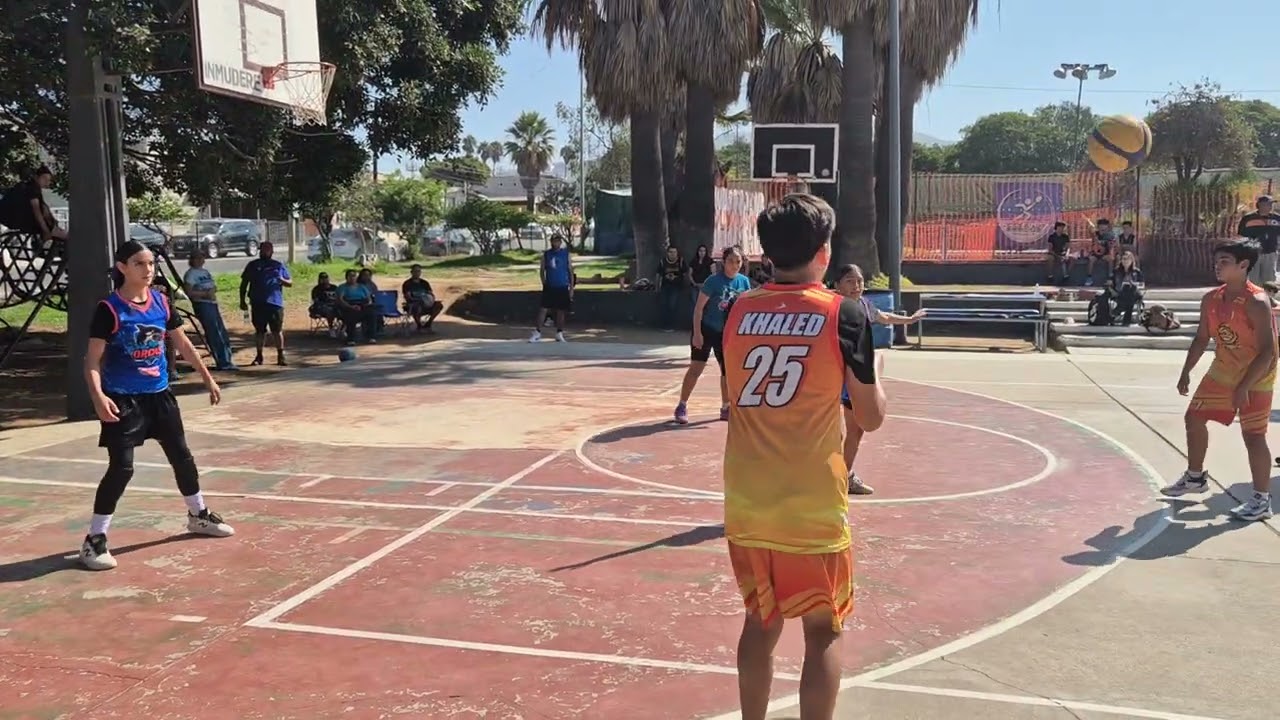 19 de febrero de 2026