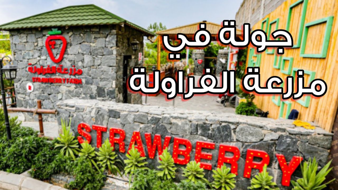 جولة في مزرعة الفراولة - الهدا - الطائف .. Strawberry Farm Tour - Al Hada - Taif