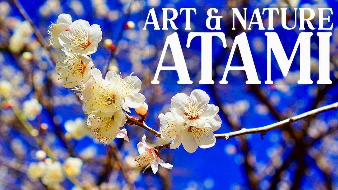 Art, Blossoms, and Ocean Views: A Perfect Day in Atami