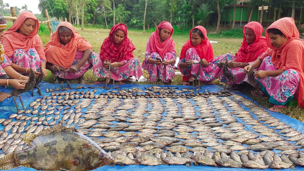 Rare Meni Fish - Roina Fish - Vedha Fish - Nandus Nandus Fish Curry Recipe Cooking In Village