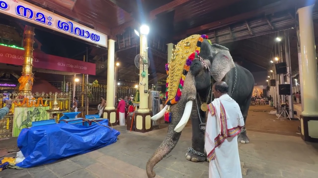 Ettumanoor Mahadeva Temple ഉത്സവം 5ദിവസം ❤️‍🔥#live 