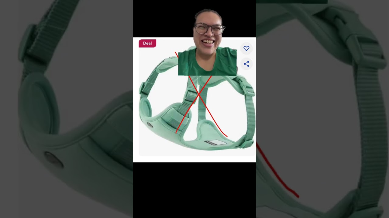 2 Harnesses I dislike and 2 harnesses I love (as a dog walker. Not sponsored!)