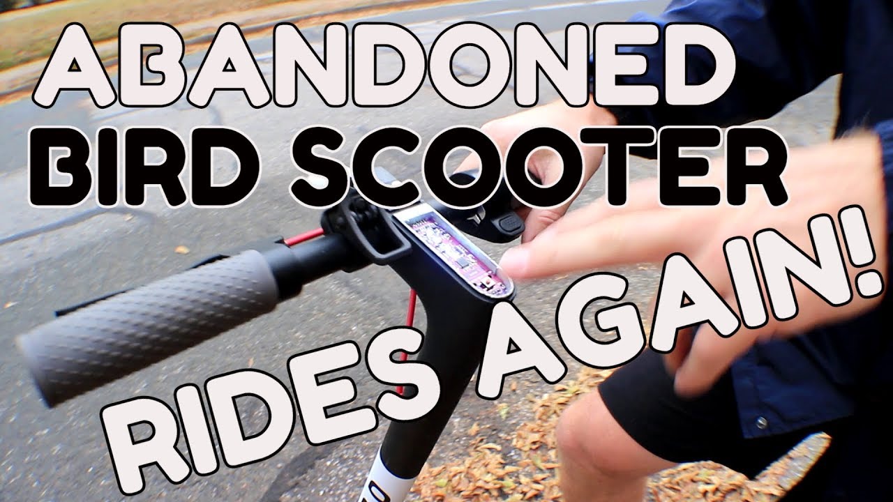Abandoned Bird Scooter now works like a regular scooter!