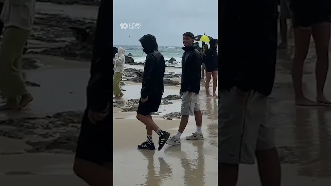 Shark Feeding Frenzy Off Gold Coast's Snapper Rocks | 10 News