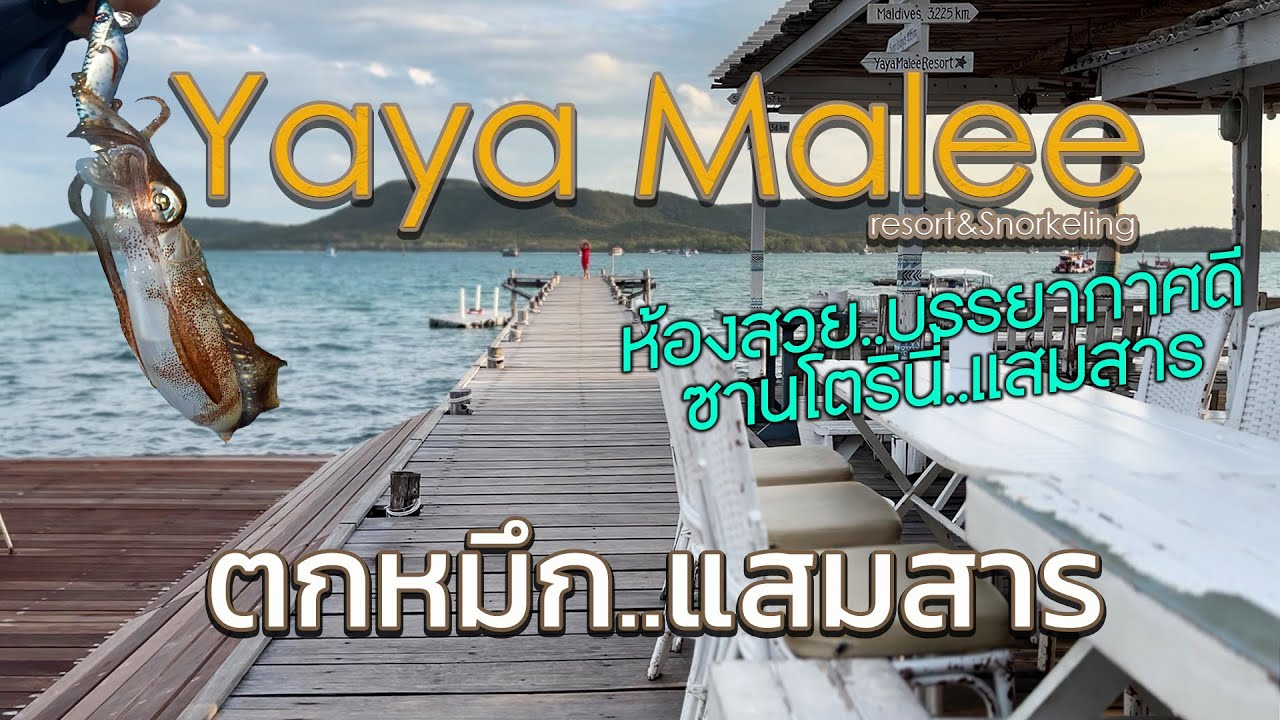"ยาย่ามาลี แสมสาร" | ออกเรือตกหมึกราคาถูก  