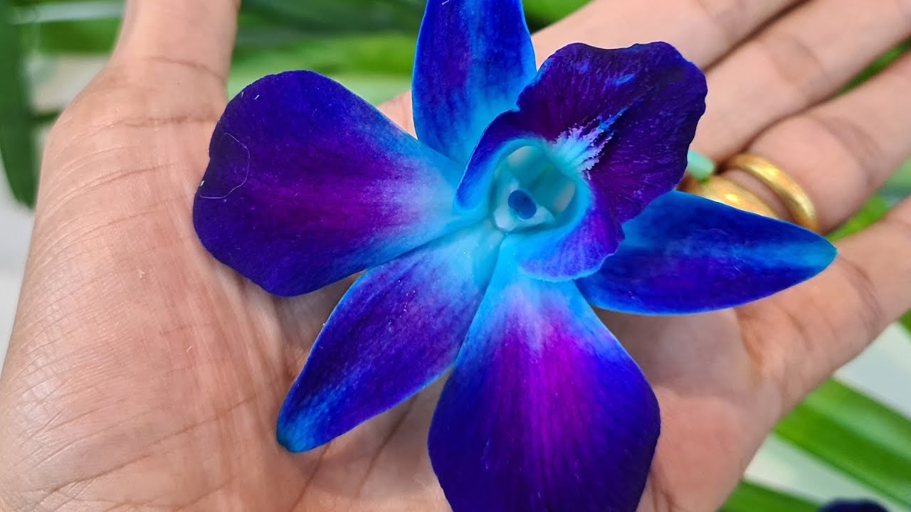 🥰🫂আপনার ভালোবাসার মূল্য ইশ্বর তাকে বুঝিয়ে দিচ্ছেন!🤯 @NamrataGhoshTarot #tarot #tarotreading #viral 