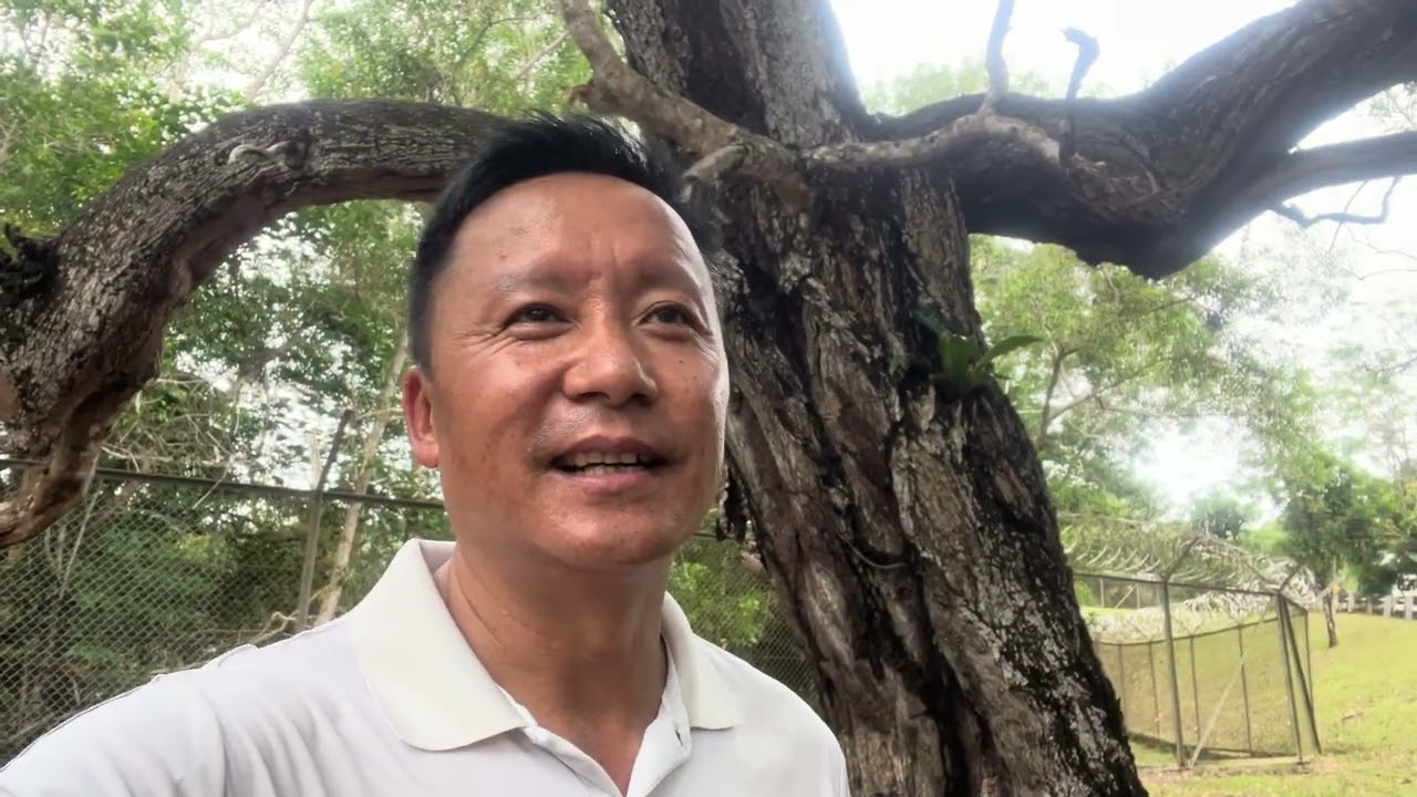 ब्रुनाइमा नेपालिहरुले रोपेको खतरा फलफुल को बगैचा र करेसा बारि हेर्नेहोइनत ?????