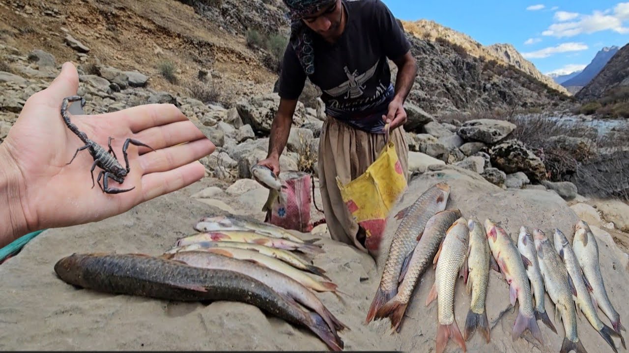 This video is not a joke | Yusuf's battle with the deadly mountain for food 🐟🔥