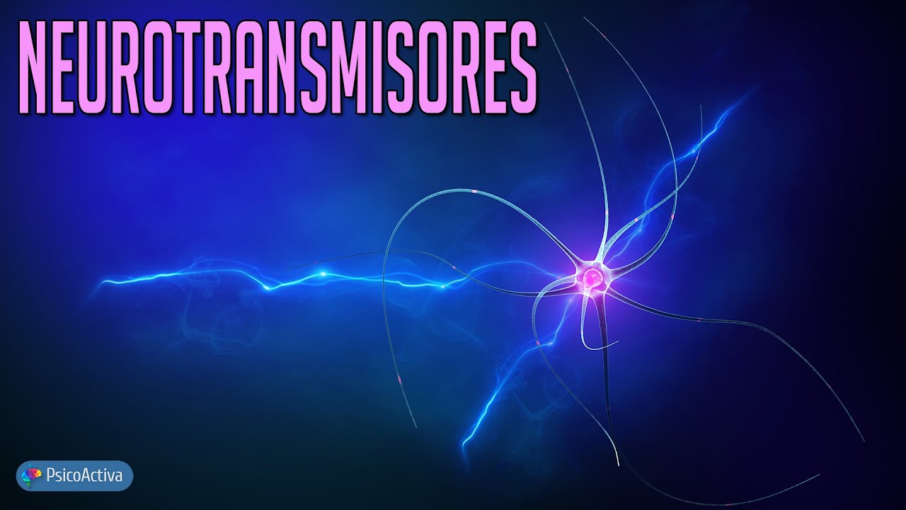 Los Principales Neurotransmisores, Funciones y Problemas que Provoca su Déficit o Exceso