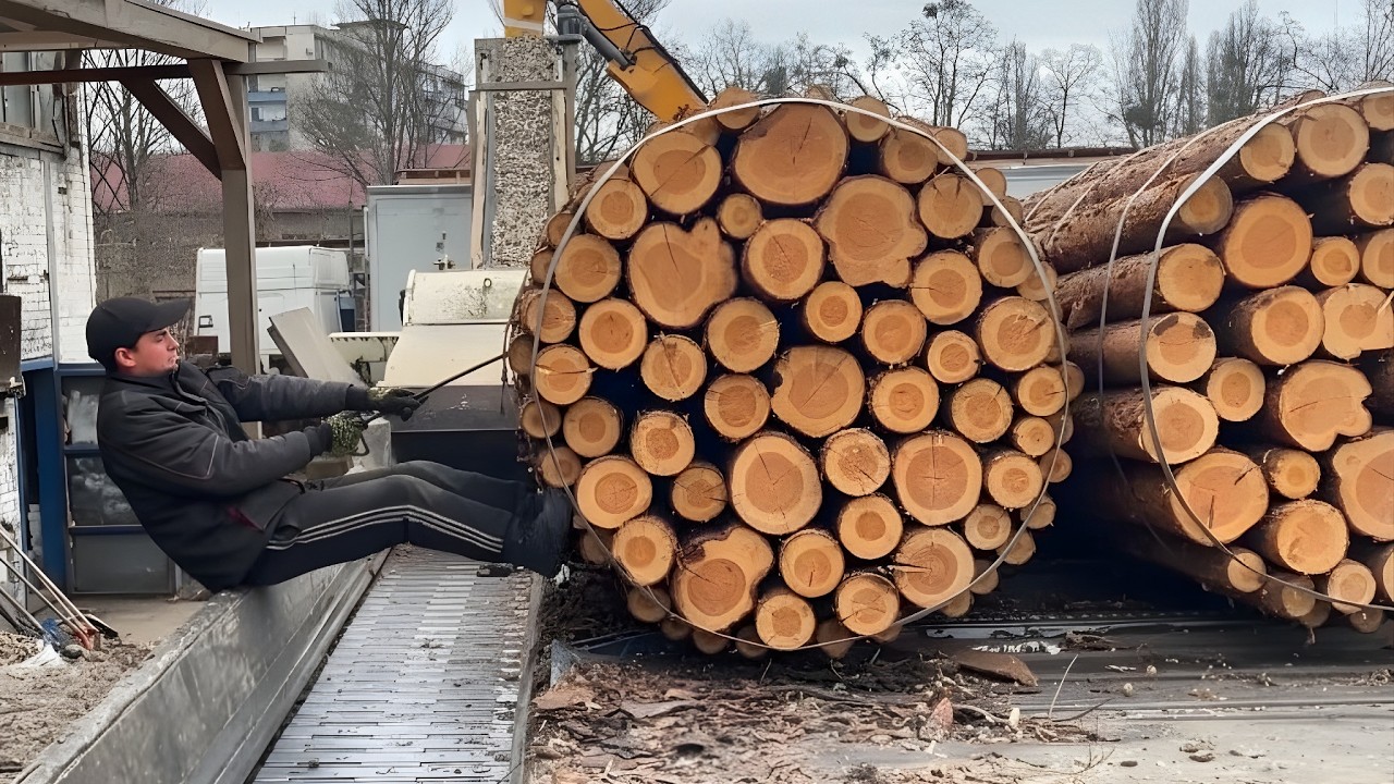 EXTREME Shredder vs MAX LOAD Highlights — Compilation.