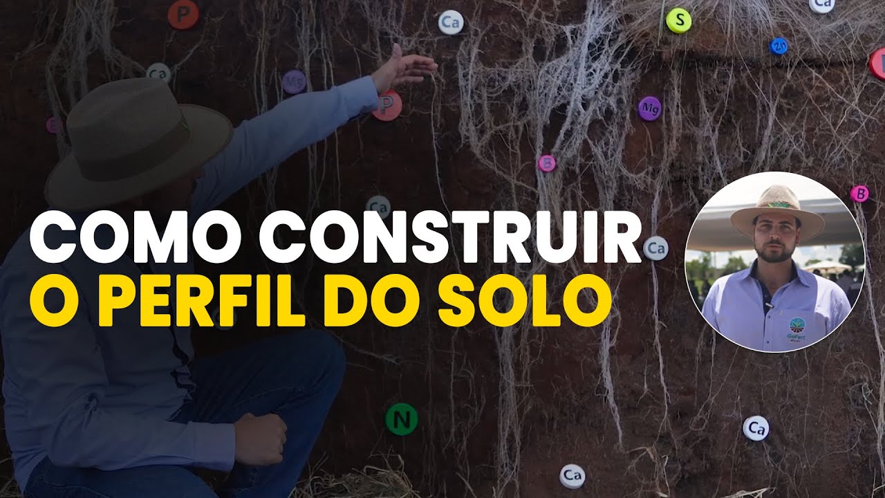 COMO CONSTRUIR O PERFIL DO SOLO