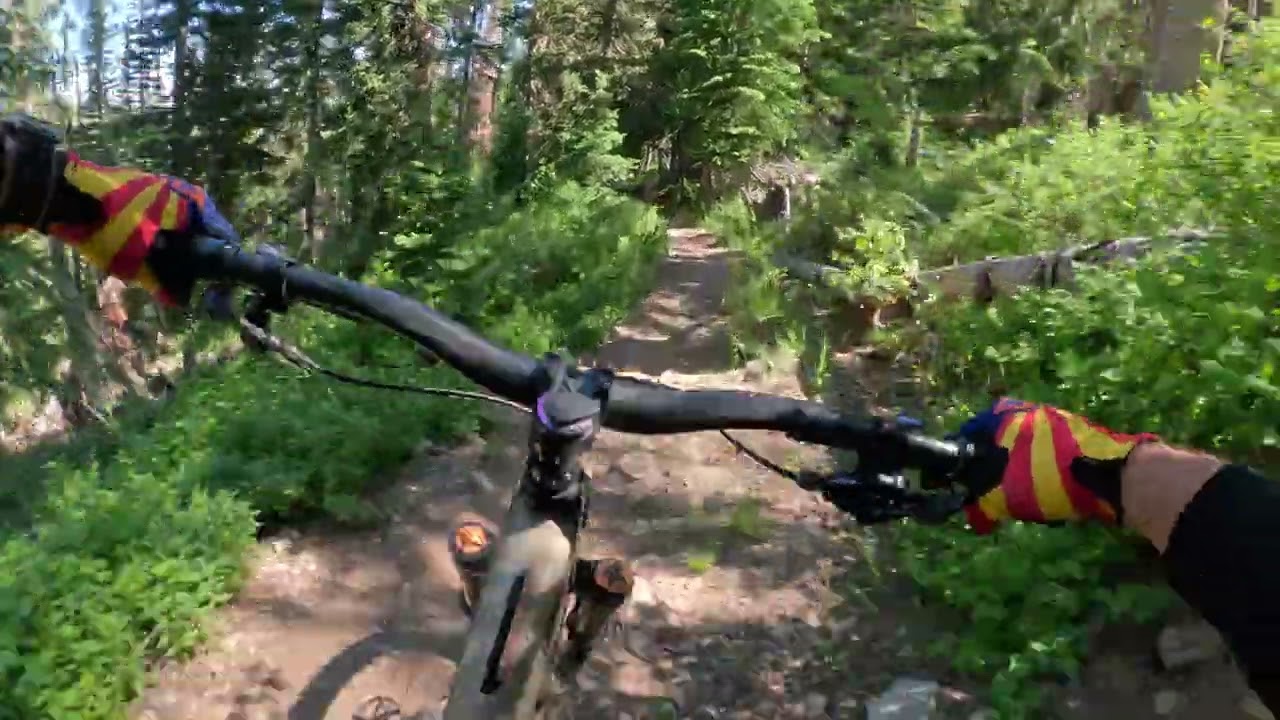 Flying through the trees in Park City - Pinecone Ridge and Seldom Seen - 3K feet of descending!