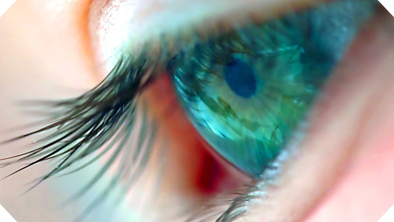 VOYAGE OF TIME Bande Annonce (Brad Pitt, Terrence Malick - Documentaire, 2016)
