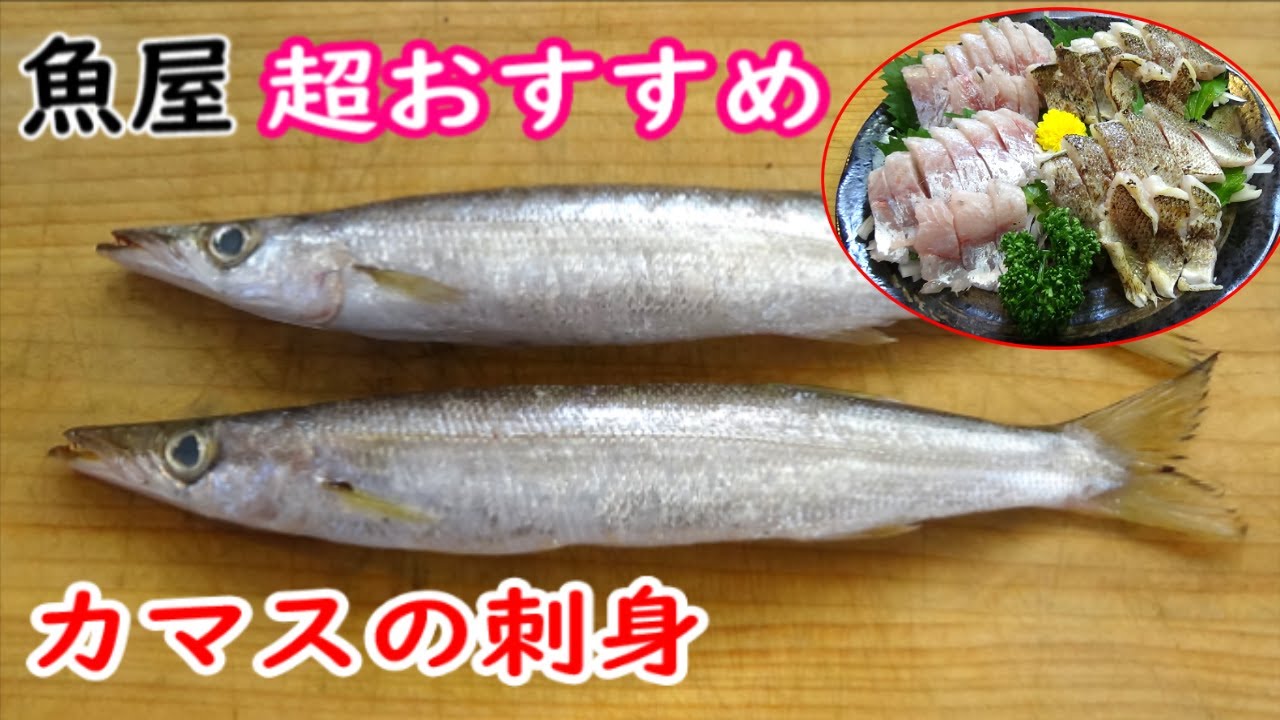身が柔らかくて皮が弱く切れやすいカマスだが刺身用にする方法＃カマス刺身＃カマス食べ方＃カマス料理