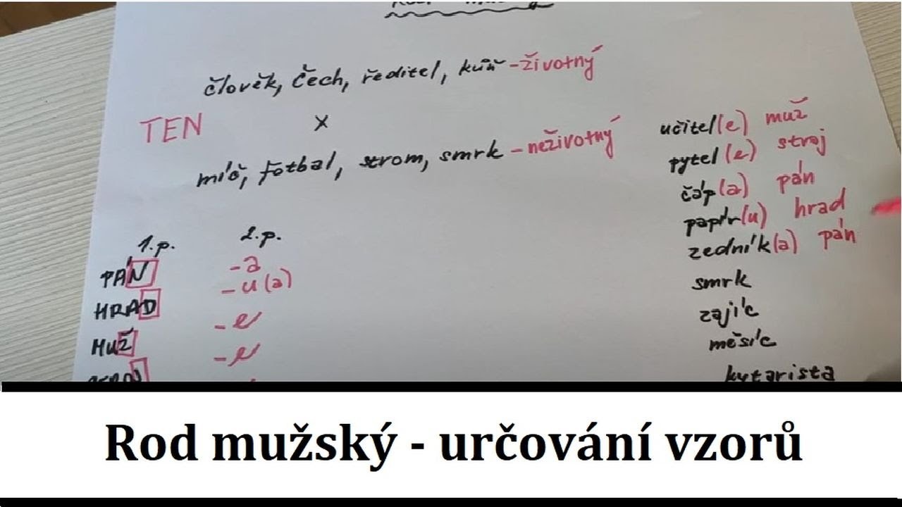 Rod mužský - určování vzorů