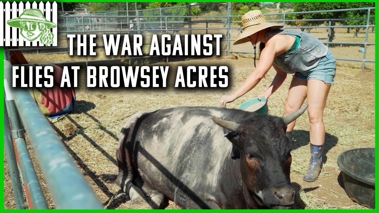 Ronda Rousey Battles Flies on the Farm | Browsey Acres