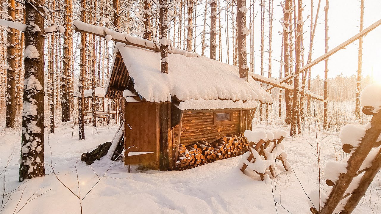 Built a log cabin in the wild forest. Six months in 20 minutes. From start to finish. Short version.