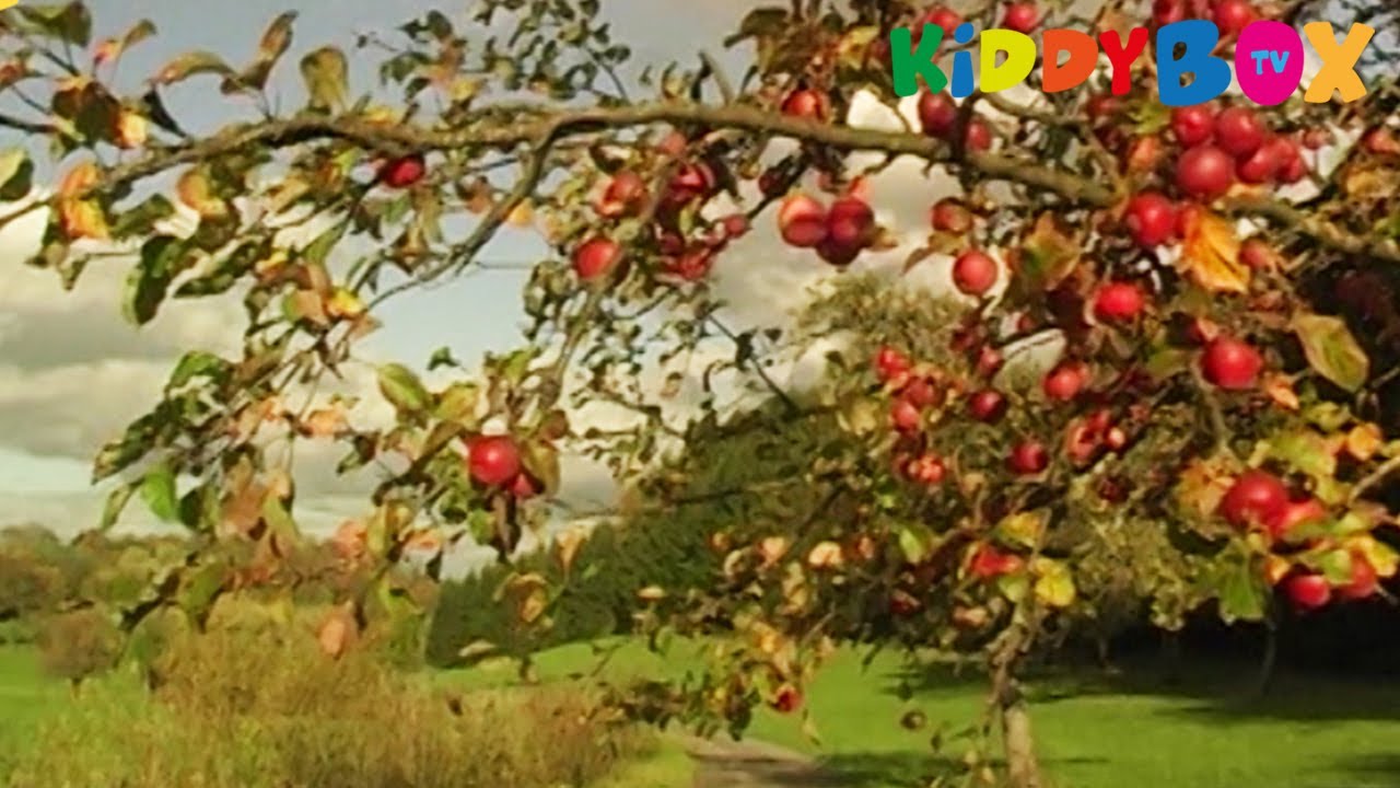 Vivaldi - VIER JAHRESZEITEN - Herbst / Autumn