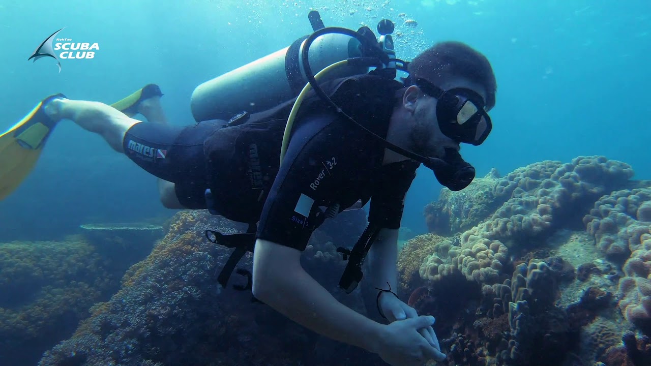 צלילה בתאילנד באי קו טאו מועדון Scuba Club Koh Tao