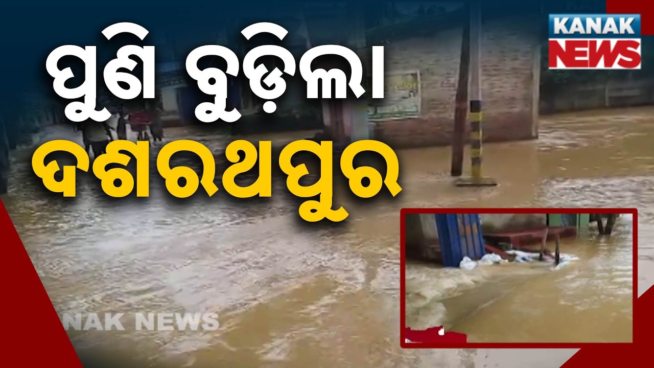 ପାଣି ଘେରରେ ଦଶରଥପୁର | Dasarathpur Flood Update | 6+ Panchayats Surrounded by Water