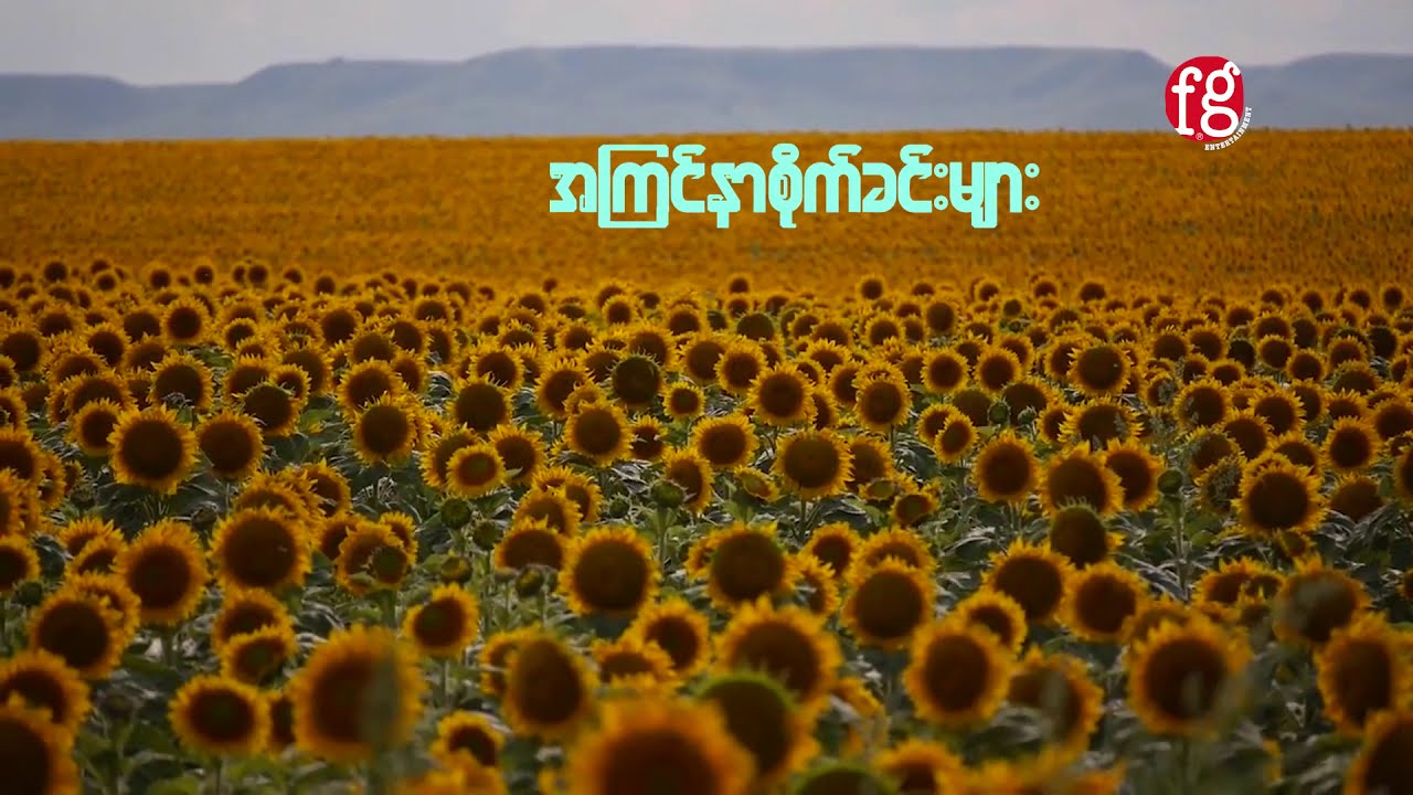 The Peacists - အကြင်နာစိုက်ခင်းများ (Official Music Video)