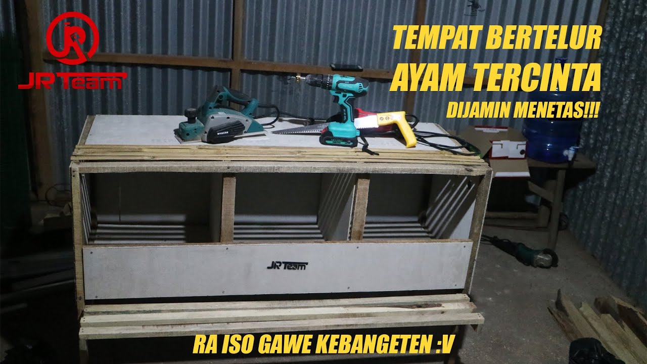 CARA MEMBUAT TEMPAT BERTELUR DAN MENGERAM AYAM TERCINTA PASTI MENETAS I make nest box for chicken
