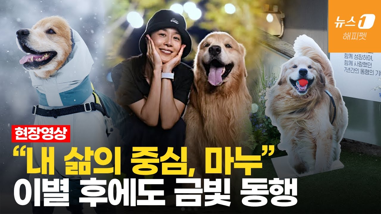 떠난 반려견을 기억하는 가장 따뜻한 방법…배우 문정희와 마누의 '금빛 동행'