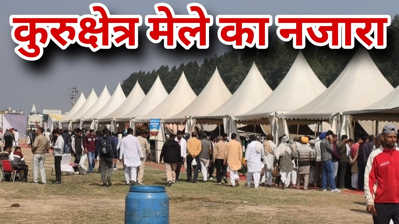 कुरुक्षेत्र पशु मेले का ऐसा नजारा, हरियाणा के सभी पशुपालक पहुंचे।