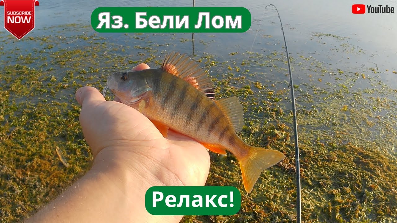 Следработен релакс на яз. Бели Лом