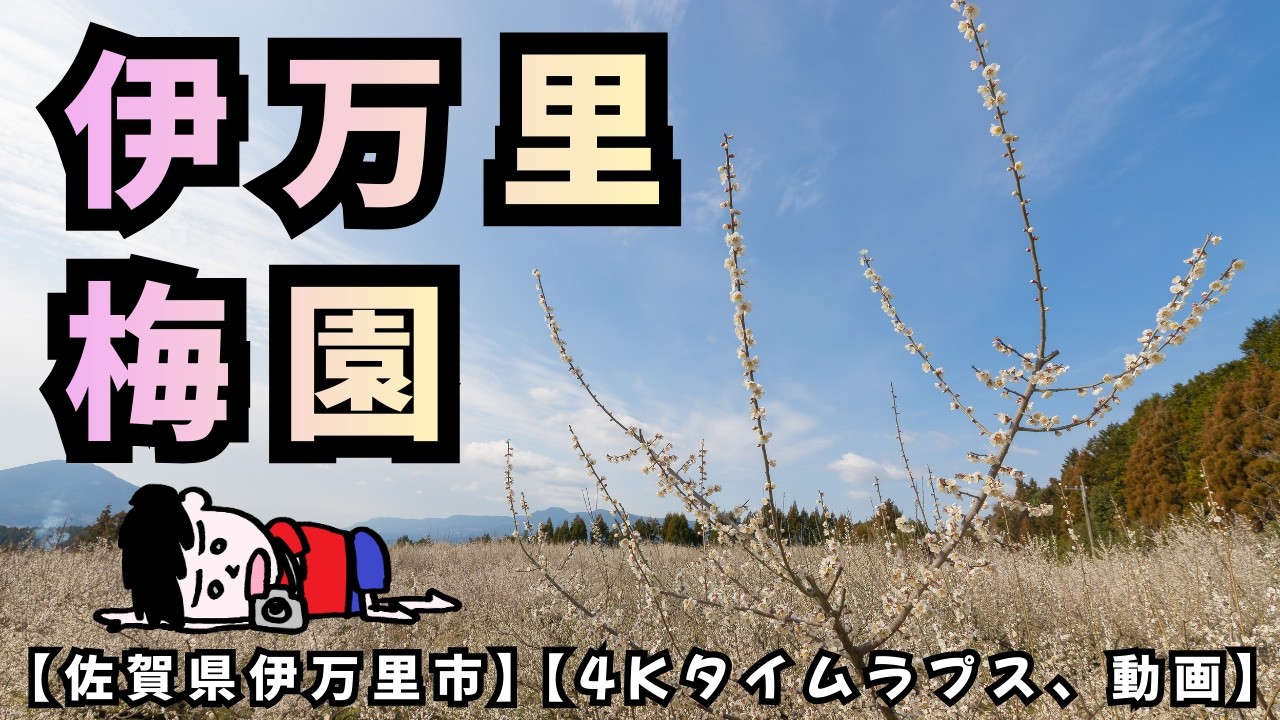 伊万里梅園【4K】伊万里梅園 タイムラプス＆映像｜佐賀県・広大な梅園
