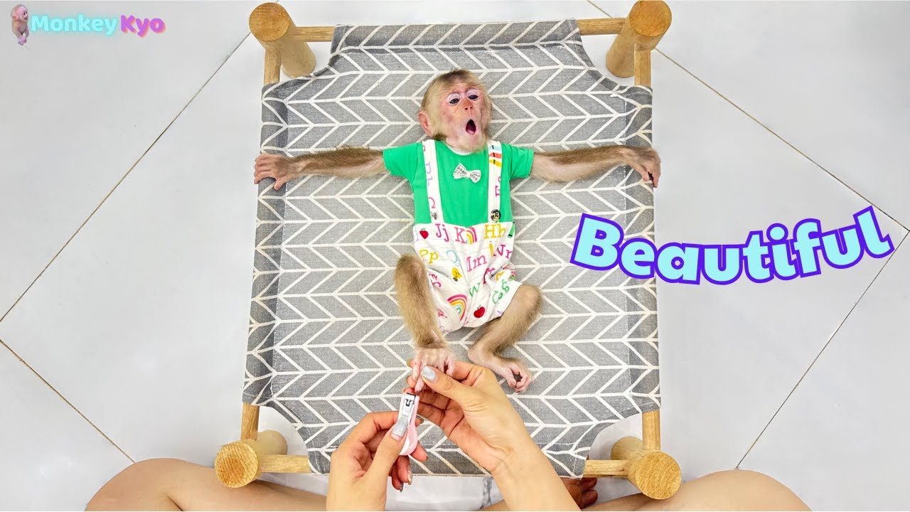 Monkey Kyo realizes her toenails are too long – Runs to Ngan for help!