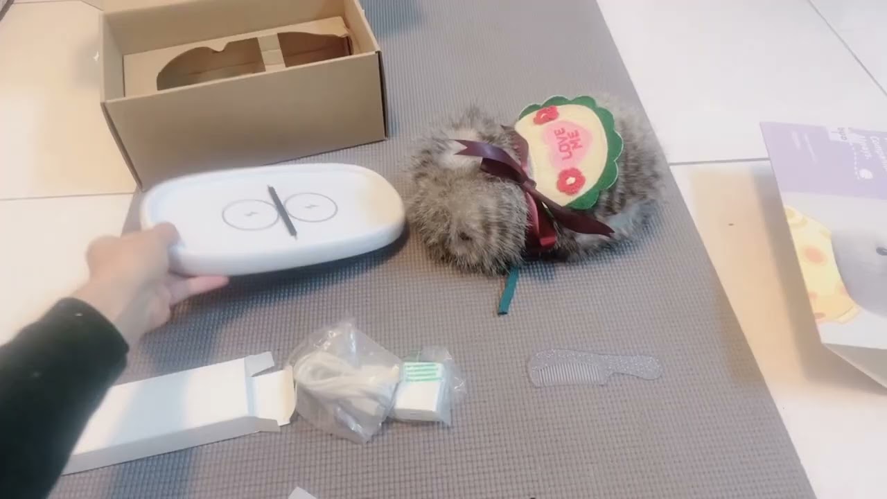 Cupboo robot pet unboxing 8th Jan 2026