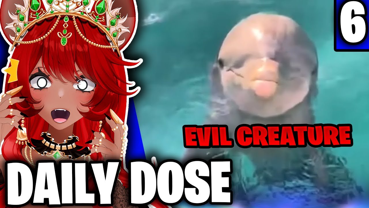 THEY AREN’T CUTE!!! | Daily Dose of Internet Reaction