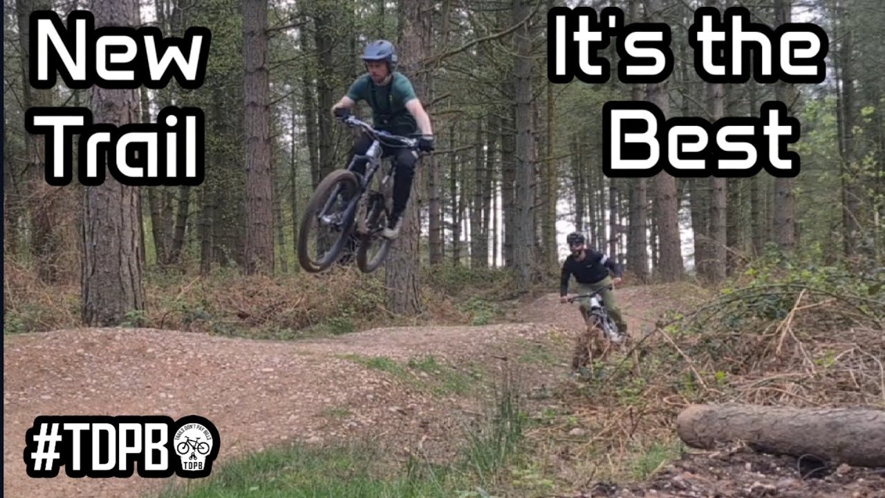 The Best Trail at Cannock Chase