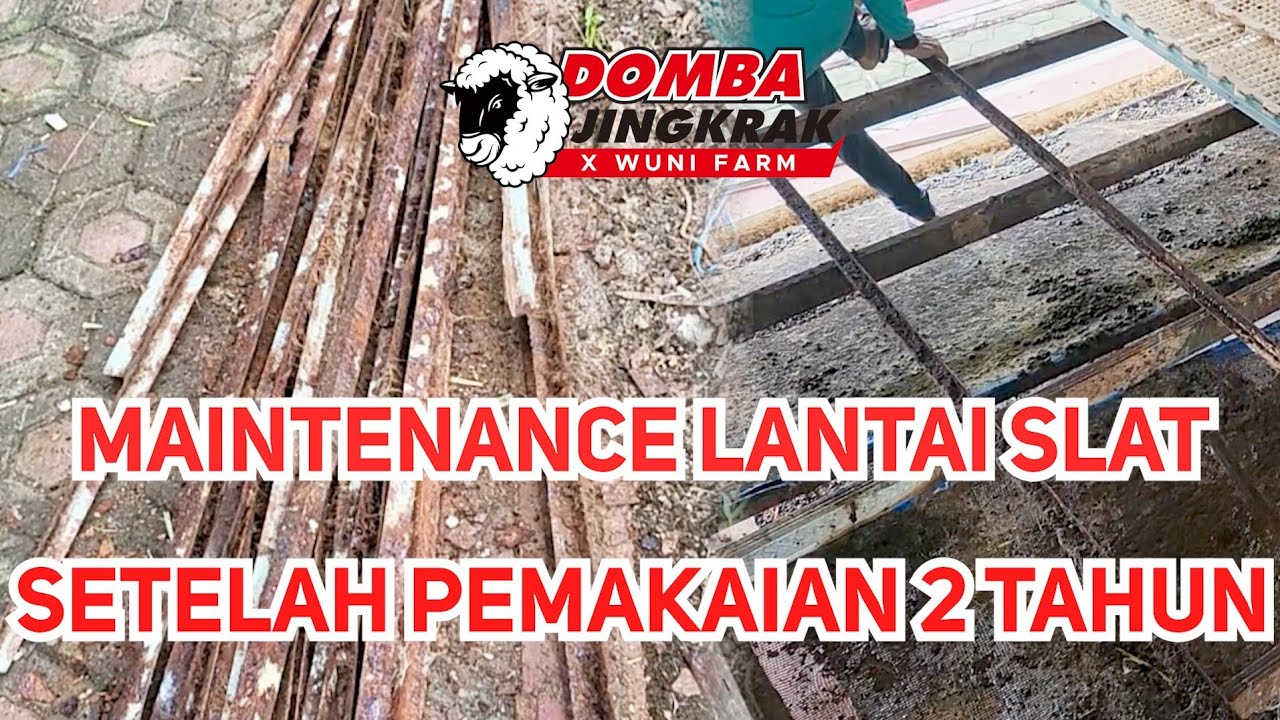 LANTAI SLAT PLASTIK SETELAH 2 TAHUN PEMAKAIAN