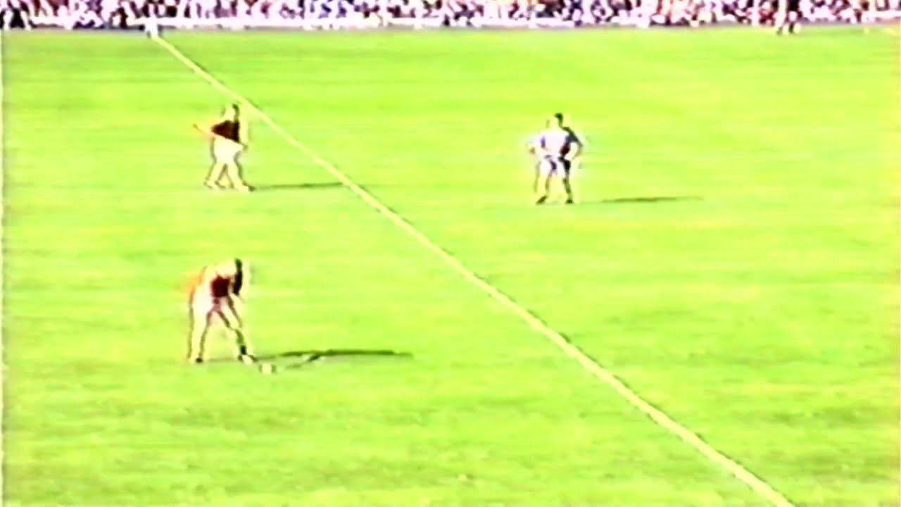 HURLING FINAL 96 CARNEW V GLENEALY
