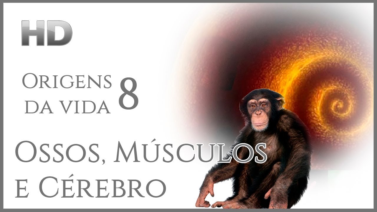 ORIGENS DA VIDA 08 - Ossos, Músculos e Cérebro (Legendado)
