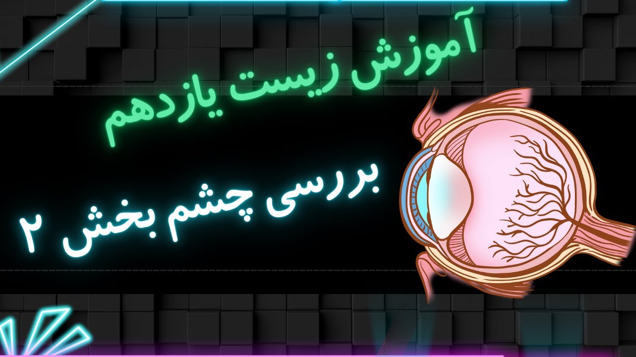 آموزش زیست شناسی سال یازدهم - فصل دوم - بررسی چشم بخش ۲