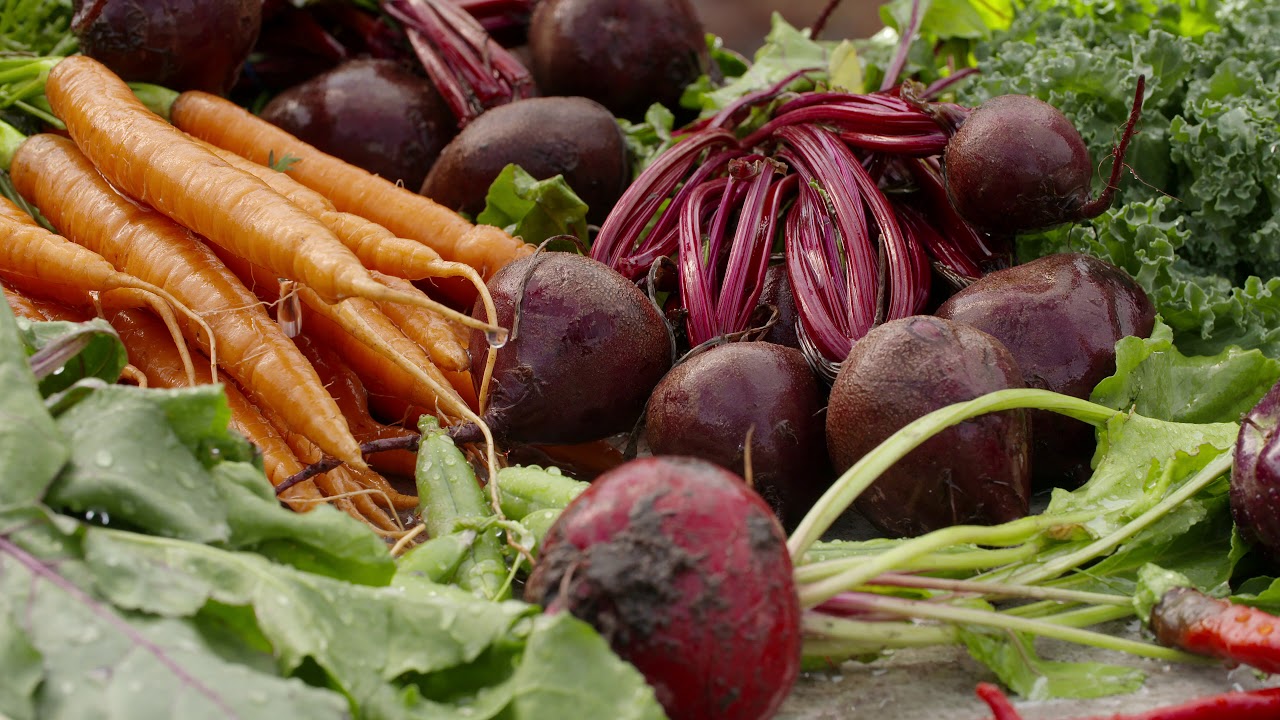 Meet the vegetables of the Walled Garden